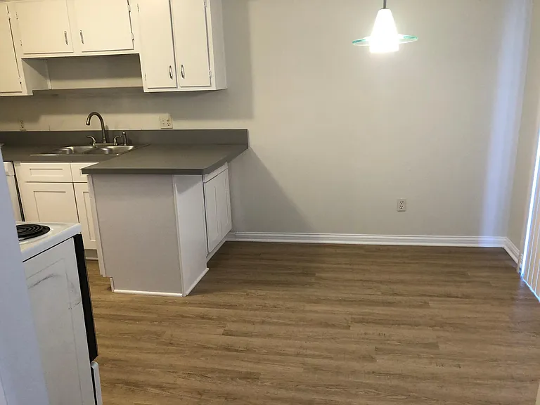 1303 Jester Ct — Photo 3