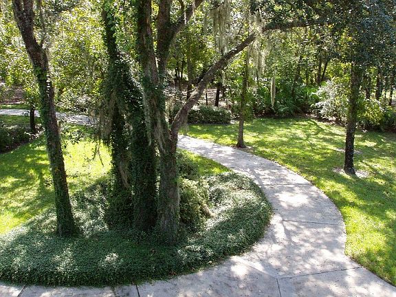 View from front door