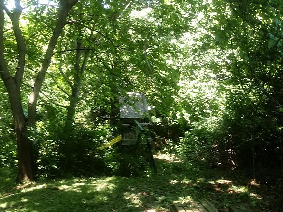 Treed backyarf