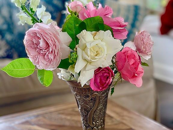 Flowers from the yard