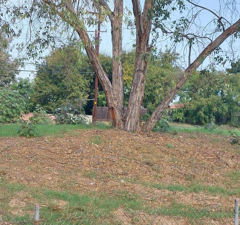2nd image of 512 Peckam Dr