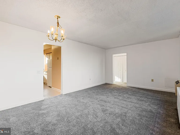 4717 1st St SW #303 — Photo 5