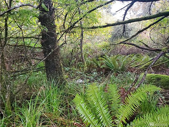 5th image of 819 Falls Of Clyde Loop SE