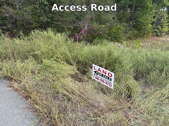 Access Road Photo 1