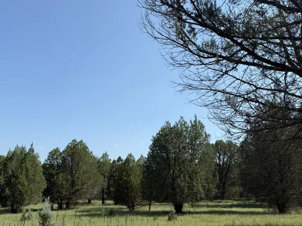 7817 W Forest Service Rd #200, Young, AZ 85554