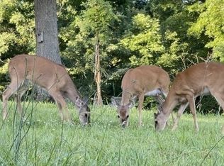 518 Hayes Ridge Rd, Indian Mound, TN 37079