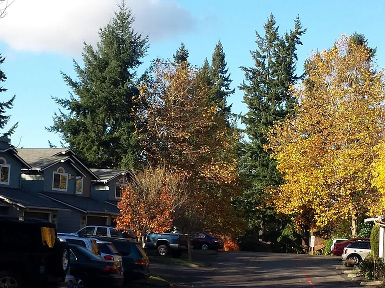4336 W Lake Sammamish Pkwy SE #D124 — Photo 7