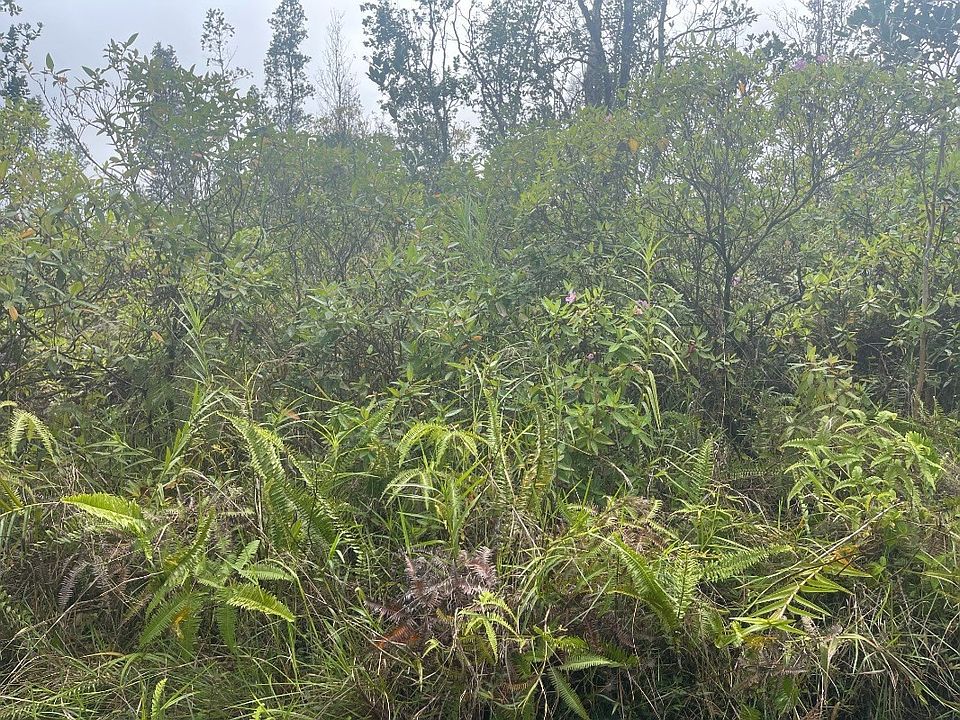2nd image of King Kamehameha Blvd Lot 30