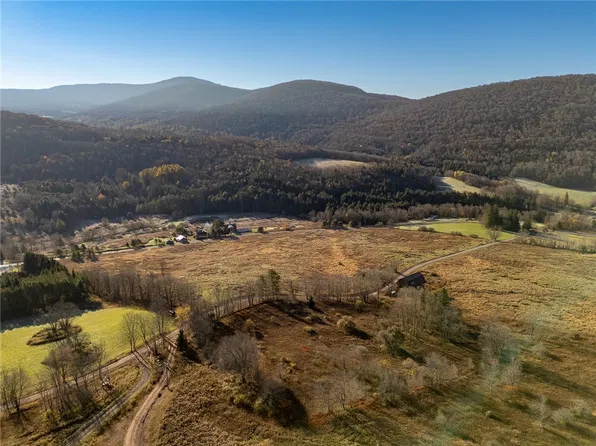 LOT 22 Reinertsen Hill Rd Lot 6, Bovina Center, NY 13740