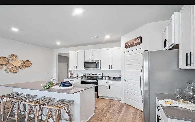 201 Boston Fern Ln — Photo 3