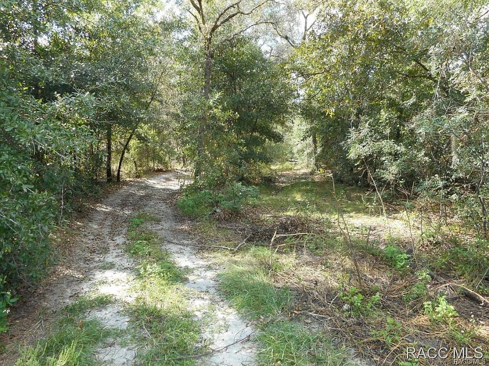 2nd image of 10164 N Burgundy Point