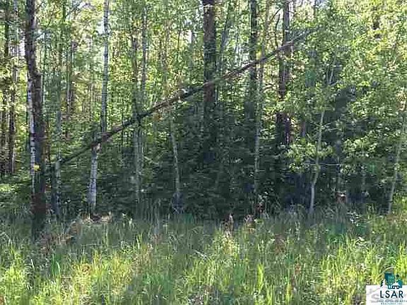 3rd image of XXX Hoover Line Rd