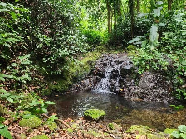 Bo Jagua Pasto Carretera 378 Km 7.2 Guayanilla, Guayanilla, PR 00656