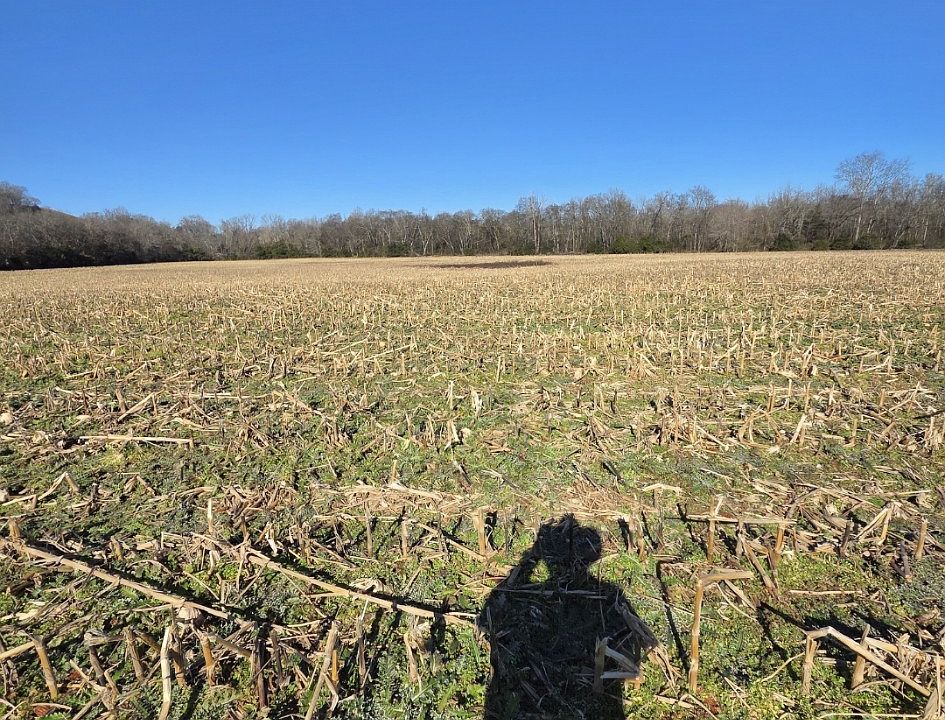 1st image of 0 Golden Hollow Rd