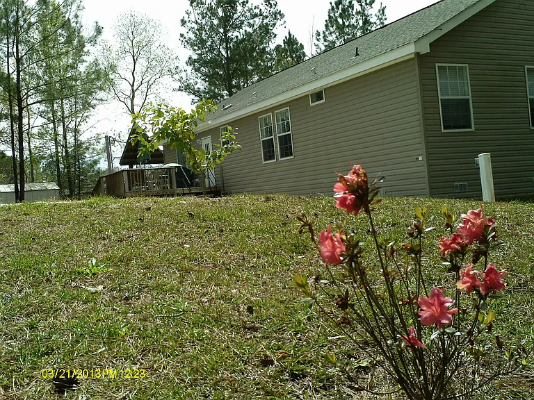 Back of house. Deck in background.