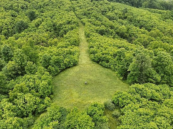 2nd image of 0 Buck Ridge Rd