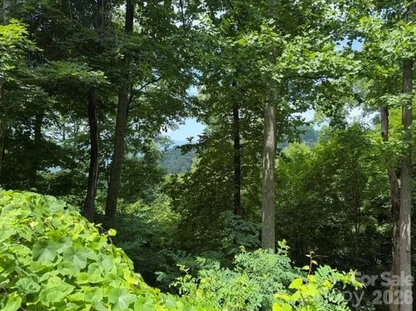 LOT 22 Spring Rock Rd, Burnsville, NC 28714