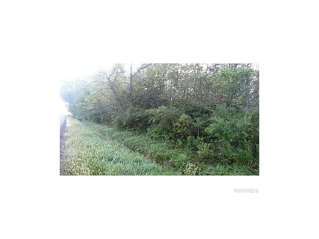 10395 Cedar Rd photo 1