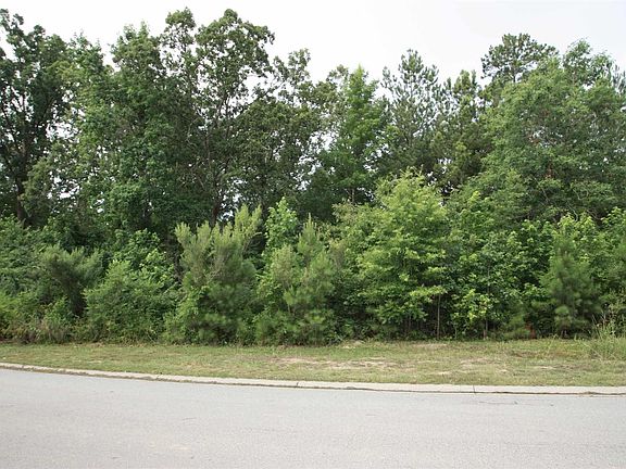 3rd image of 128 Pintail Lake Dr Lot 96