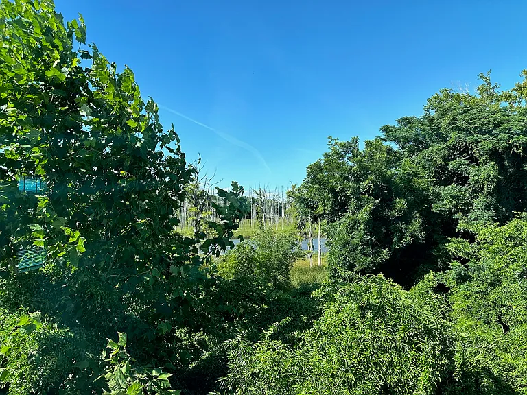 1317 Creekfront Dr — Photo 33