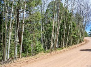 2763 N Mountain Estates Road, Florissant, CO 80816