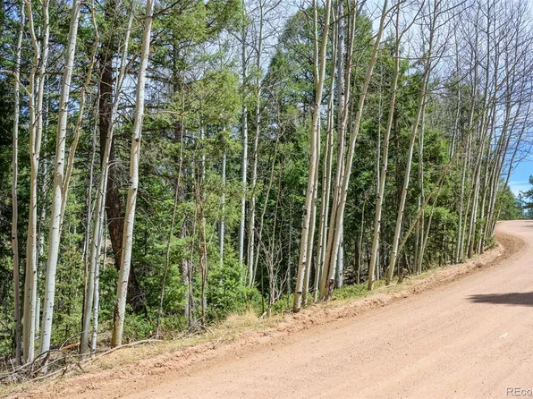 2763 N Mountain Estates Road, Florissant, CO 80816