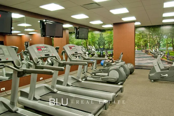 Rented by BLU Real Estate | media 25
