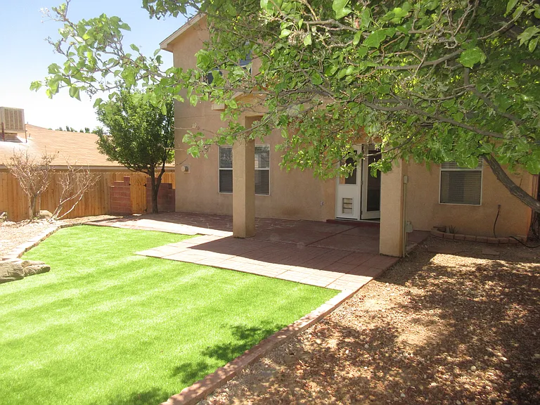 Back Yard