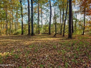 24 N Creek Dr, Belhaven, NC 27810