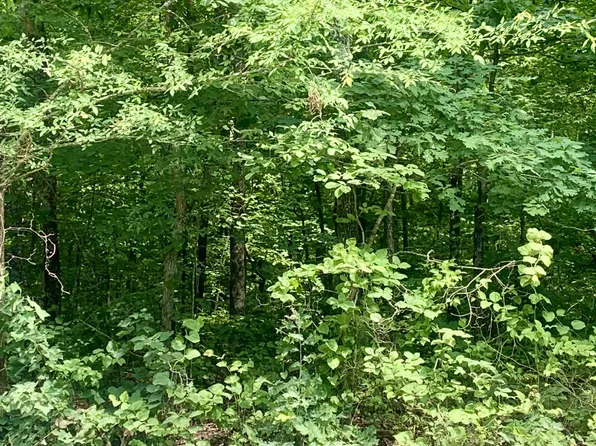 0 Old Natchez Trace Pkwy #8 & 7, Santa Fe, TN 38482