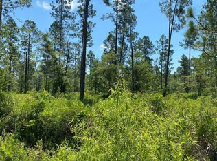 County Road 25a, Hamilton County, FL 32096