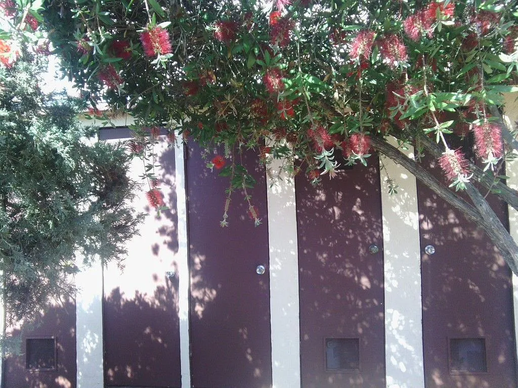 1 bed, 500 sqft, $1,825 — Photo 4