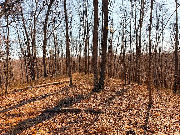 3rd image of 0 Gibson Hollow Rd