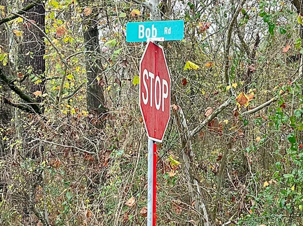 50 Bob Dr, Walnut Grove, MS 39189