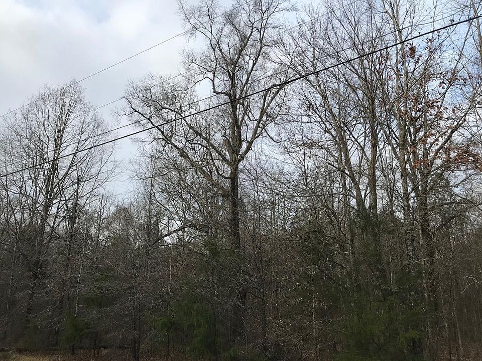 2nd image of Lone Oak Park
