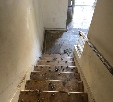 3rd image of 46831 Rogers Dr