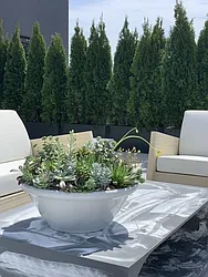 Rented by Abode Residential LLC