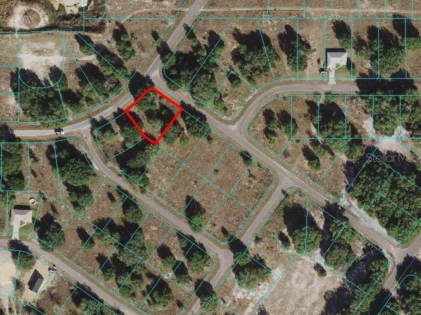 Guava Ter #1, Ocklawaha, FL 32179