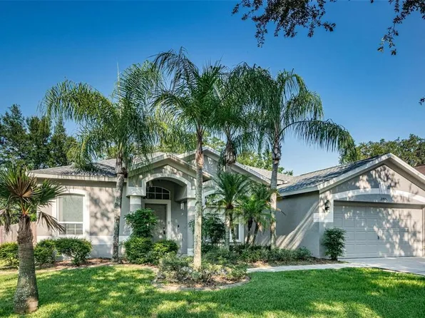 2705 Brookville Dr, Valrico, FL 33596