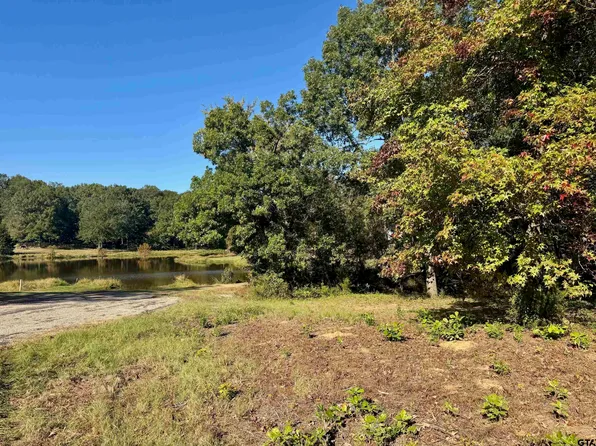 18 County Road 1216, Pittsburg, TX 75686