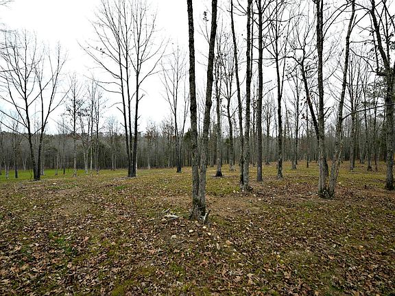 5th image of TRACT Three Polk Rd #158