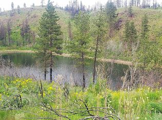 0-NKA Madd Mountain Rd, Okanogan, WA 98840