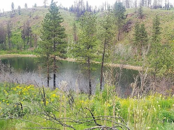 0 NKA Madd Mountain Road, Okanogan, WA 98840