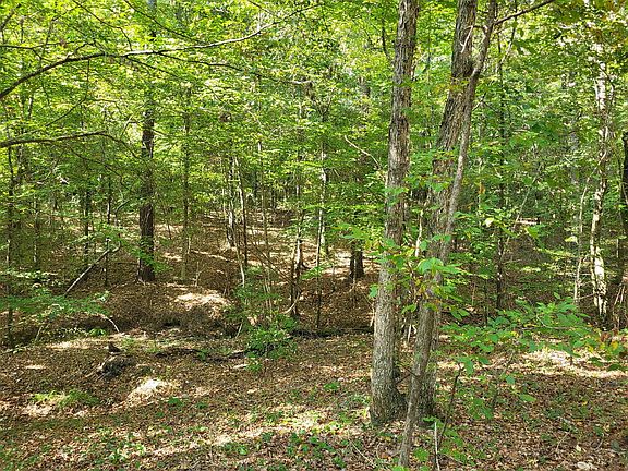 4th image of 1294 Anders Rd