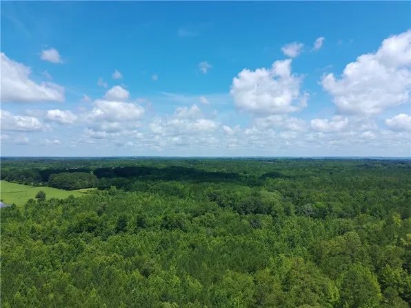 County Road 241, Roanoke, AL 36274