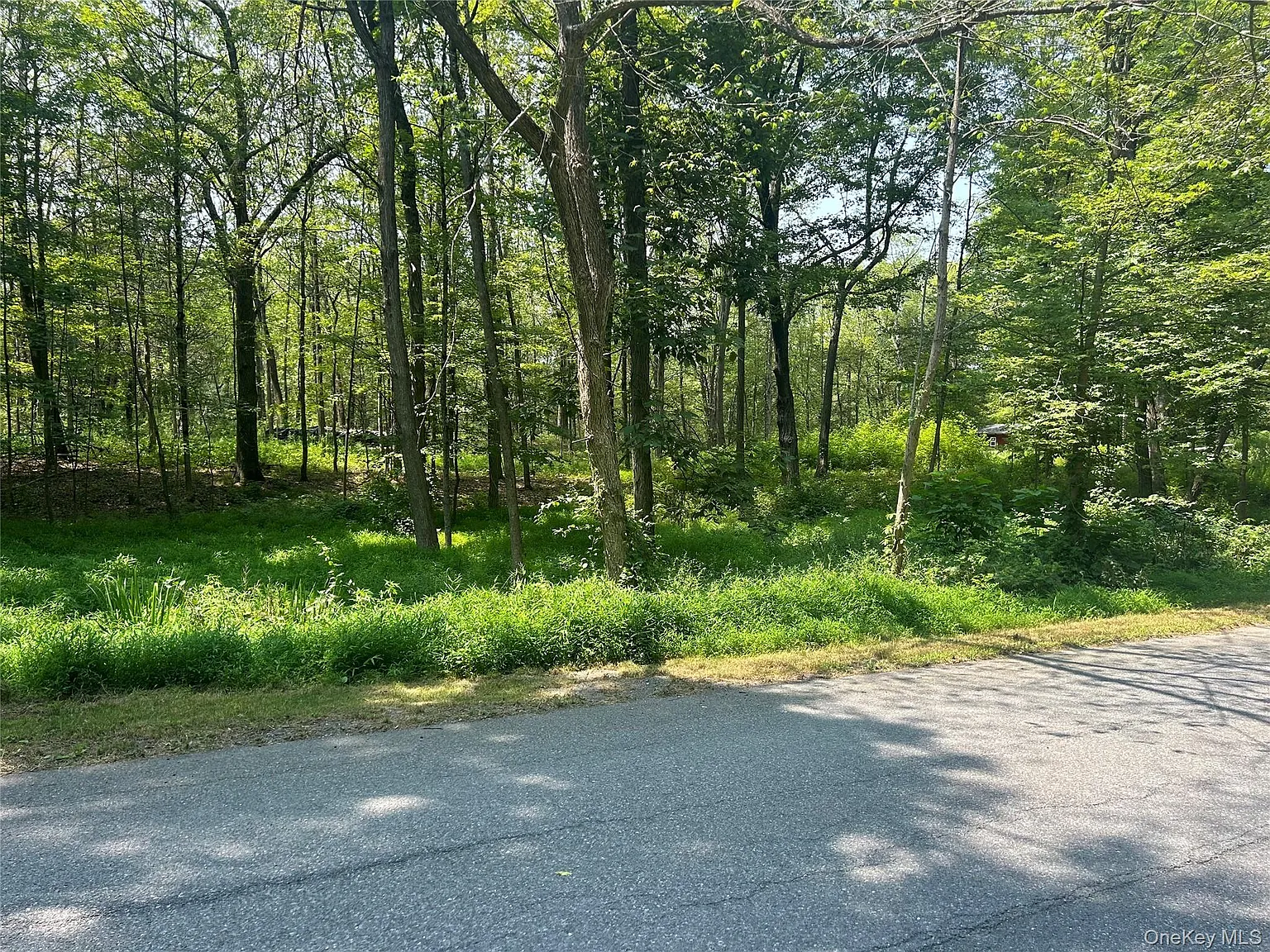 White Schoolhouse Road photo 1