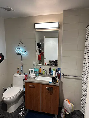 Rented by NY Living Solutions | media 16