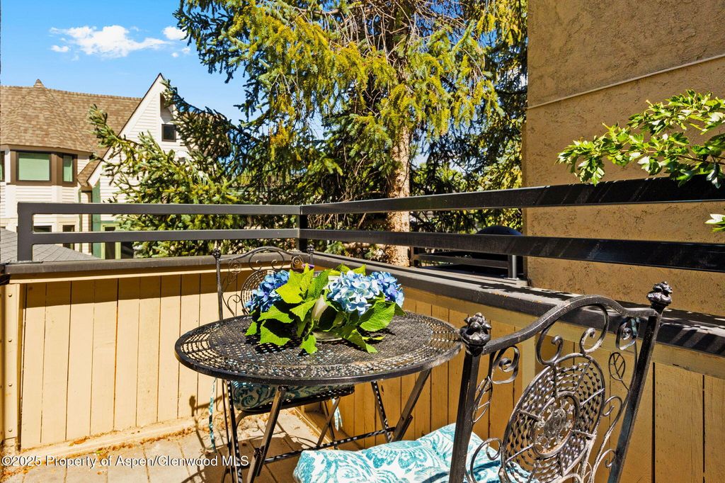 1024 E Cooper Ave APT 8, Aspen, CO - View 5