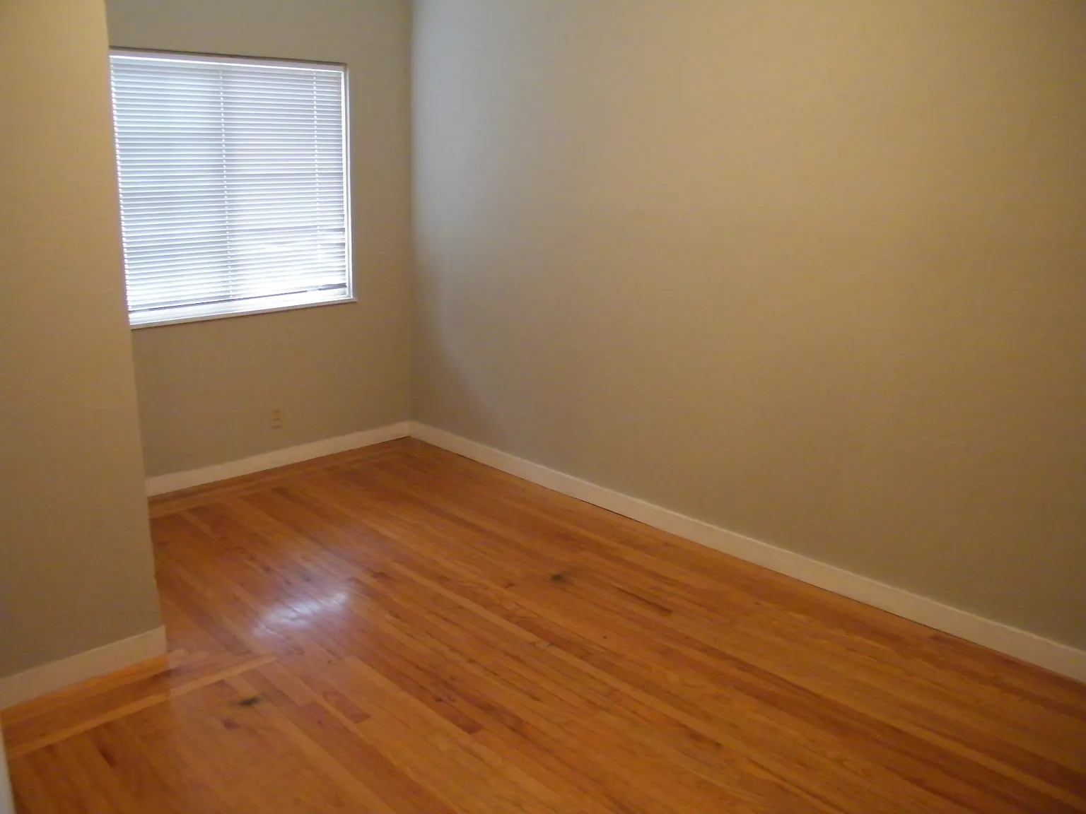 2 bed, 600 sqft, $1,790 — Photo 4