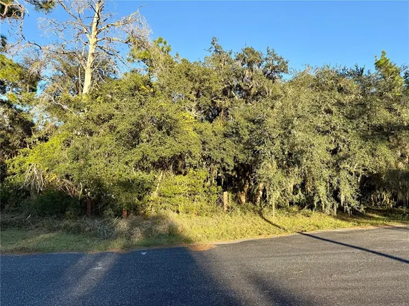 Flag St #4, Eustis, FL 32736